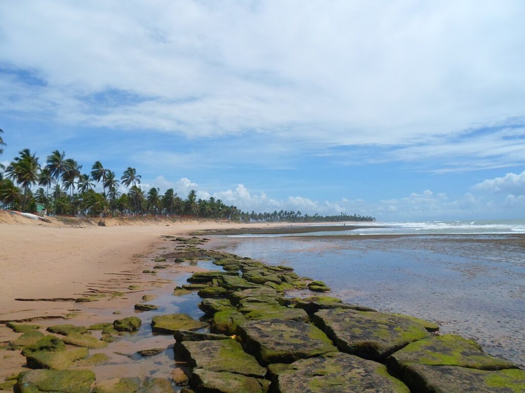 Praia do Forte